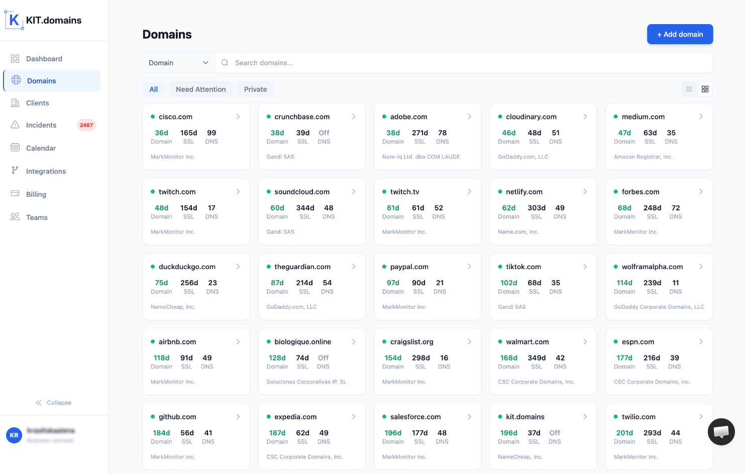 domain portfolio monitoring dashboard showing multiple domains across registrars with expiration and SSL status