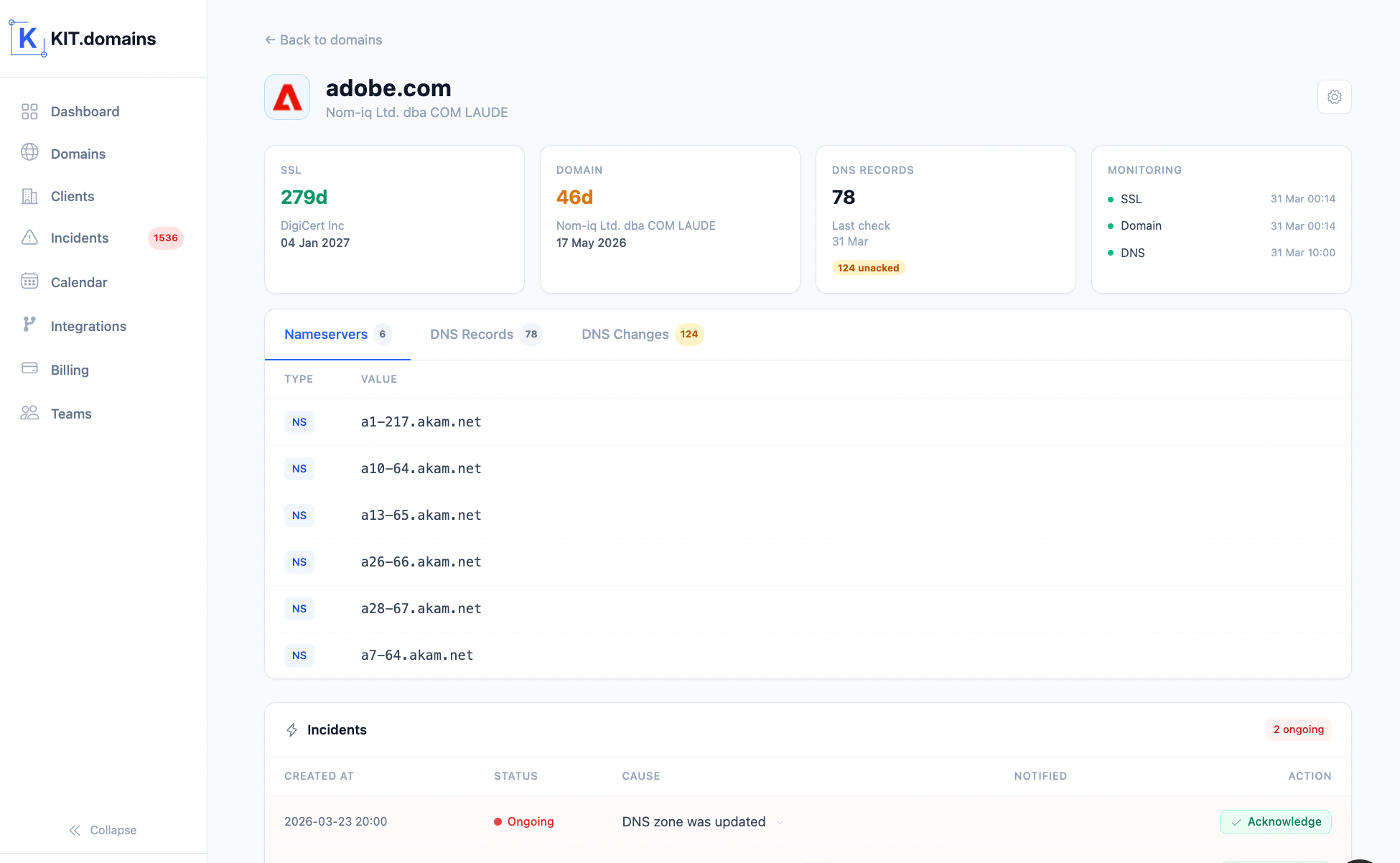 domain details page showing dns records ssl info and configuration
