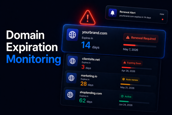 Domain Expiration Monitoring